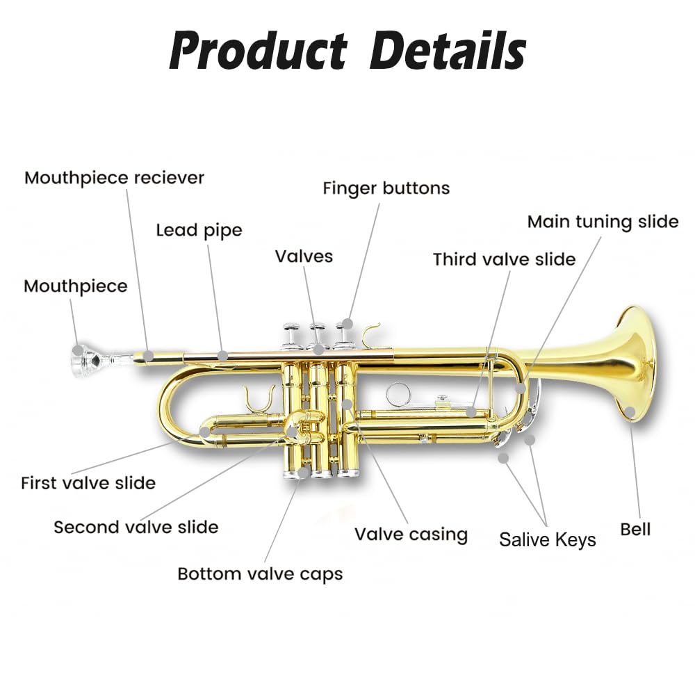 Bb Trumpet Standard Kit with Carrying Case 7C Mouthpiece Clean Cloth Gloves Brass Instrument F577