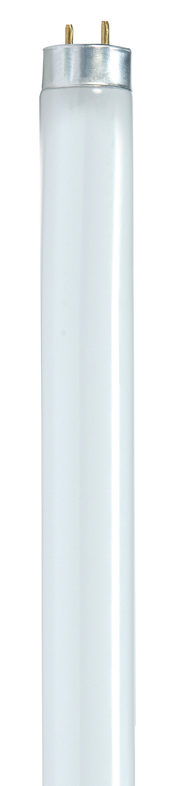 24-Inch 6500K 17-Watt T8 Daylight Lamp B3142