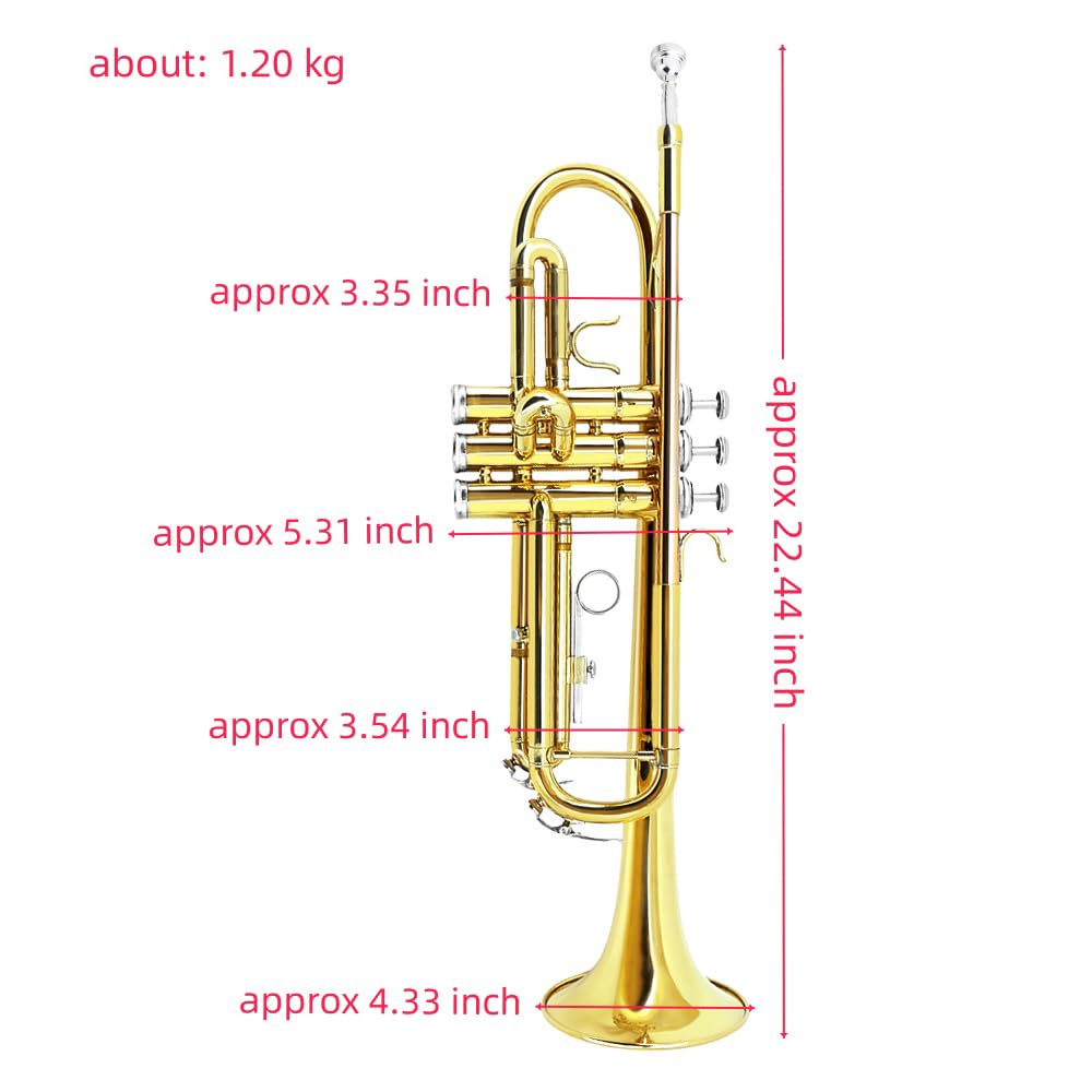 Bb Trumpet Standard Kit with Carrying Case 7C Mouthpiece Clean Cloth Gloves Brass Instrument F577