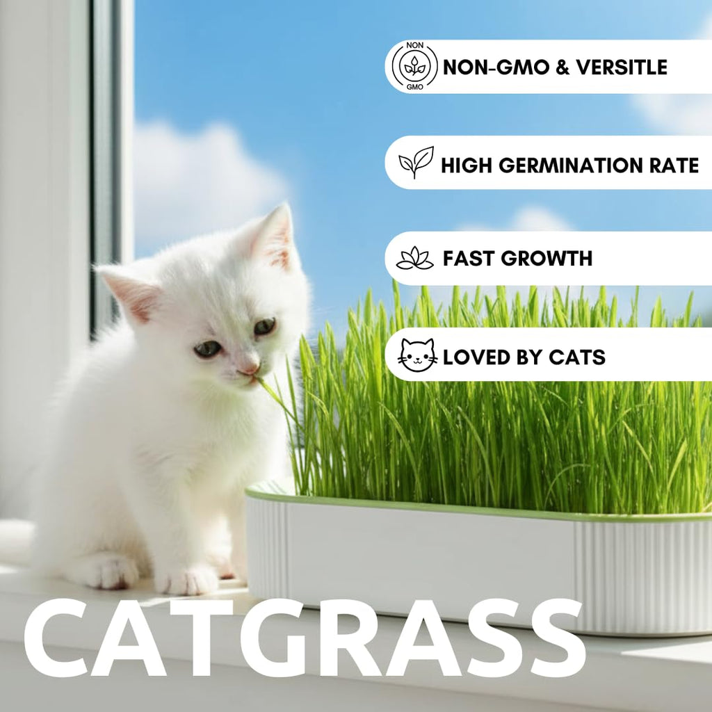 Hydroponic Cat Grass Grow Kit with 2 Oz Non-GMO Seeds O931917