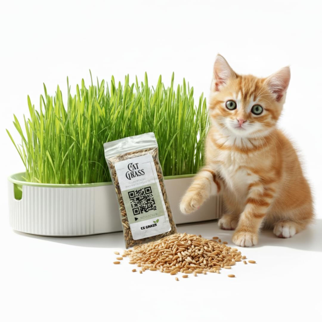 Hydroponic Cat Grass Grow Kit with 2 Oz Non-GMO Seeds O931917