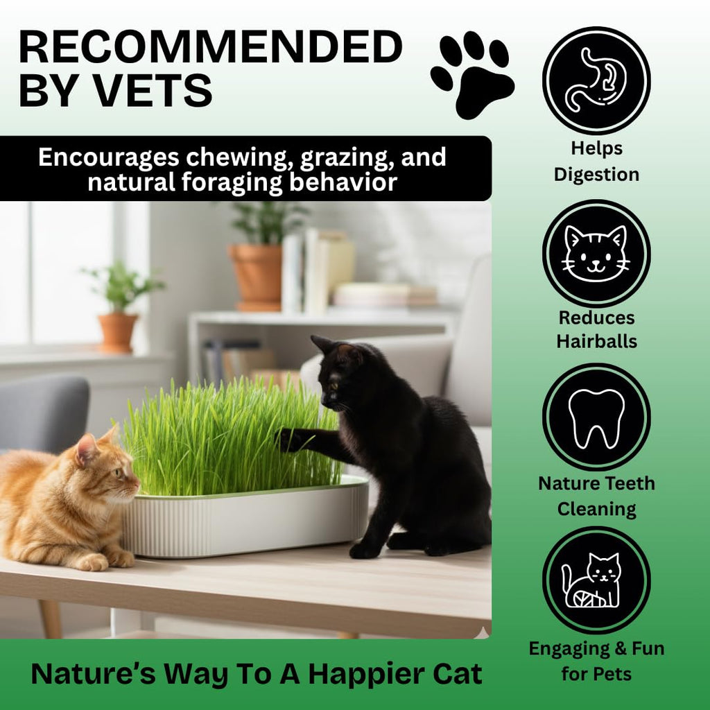 Hydroponic Cat Grass Grow Kit with 2 Oz Non-GMO Seeds O931917