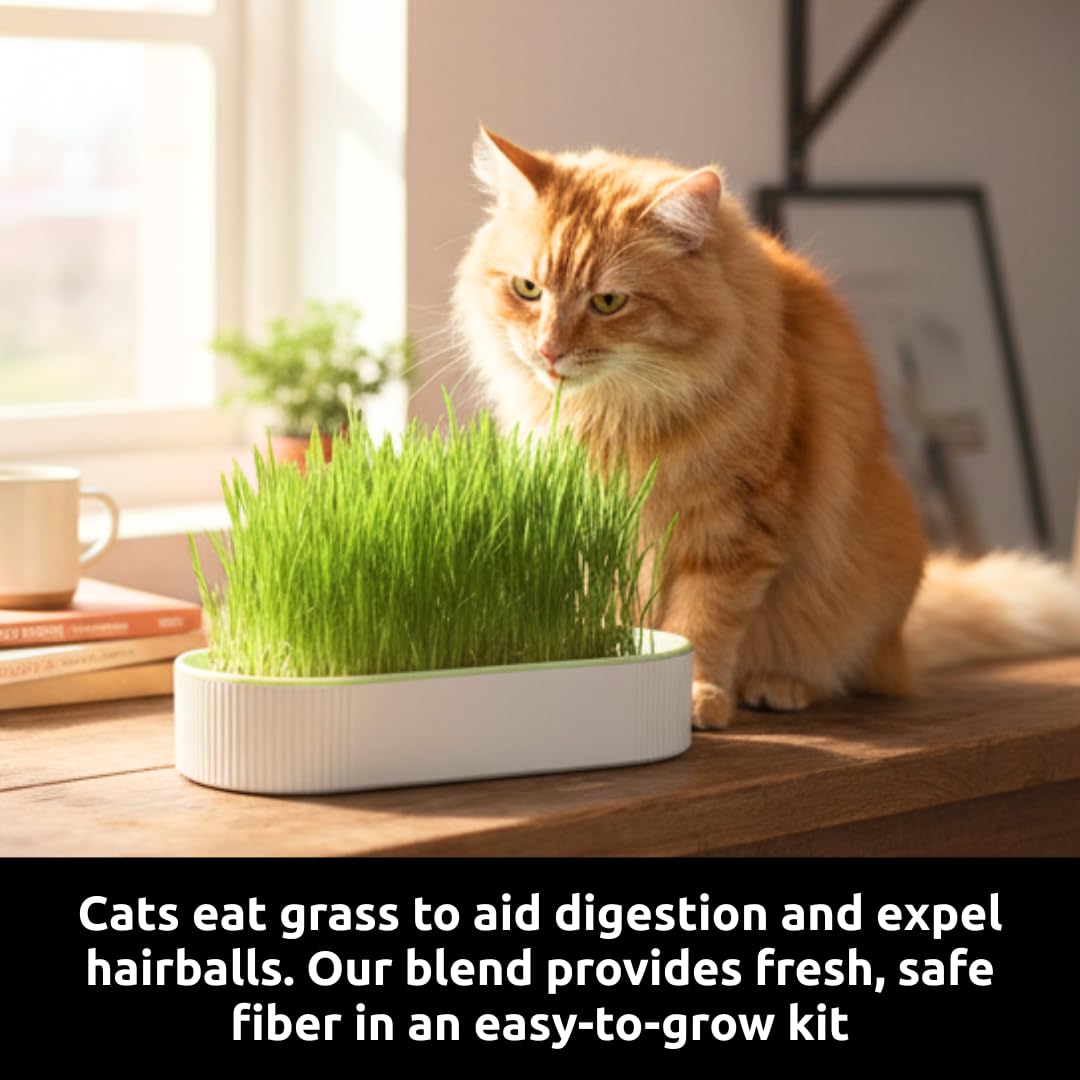 Hydroponic Cat Grass Grow Kit with 2 Oz Non-GMO Seeds O931917