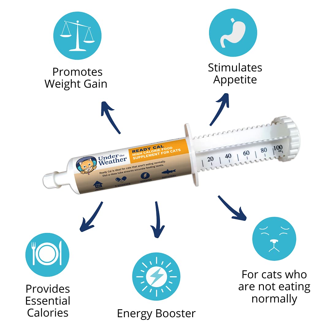 High Calorie Cat Supplement with Vitamins Minerals Omega Fatty Acids F510
