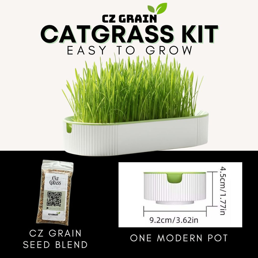 Hydroponic Cat Grass Grow Kit with 2 Oz Non-GMO Seeds O931917