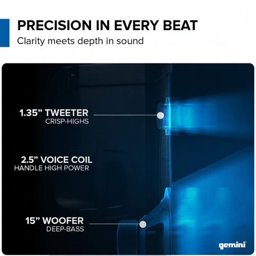 15" Bluetooth PA Speaker R849
