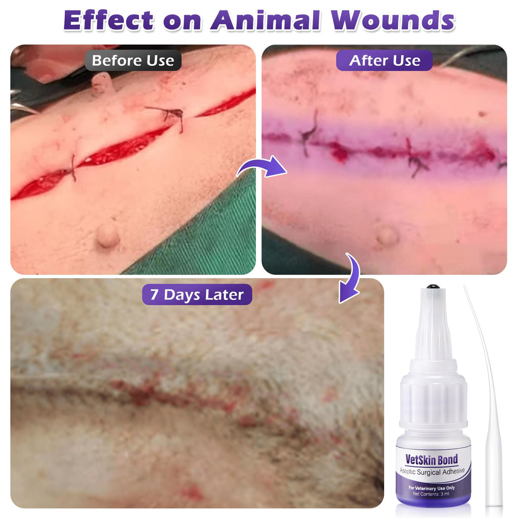 3ml Veterinary Surgical Skin Glue with 10 Applicators Z19207
