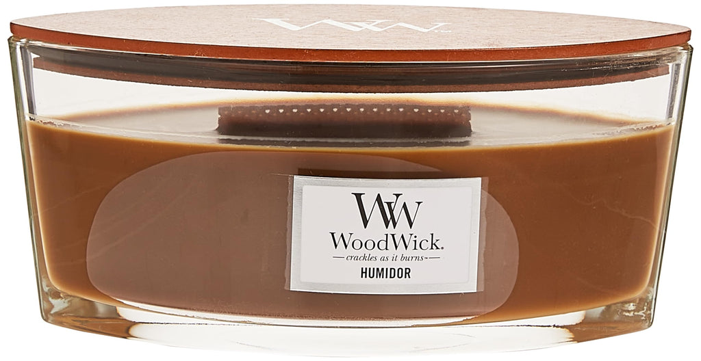Vanilla & Sea Salt and Humidor Scented Candles 16oz X566