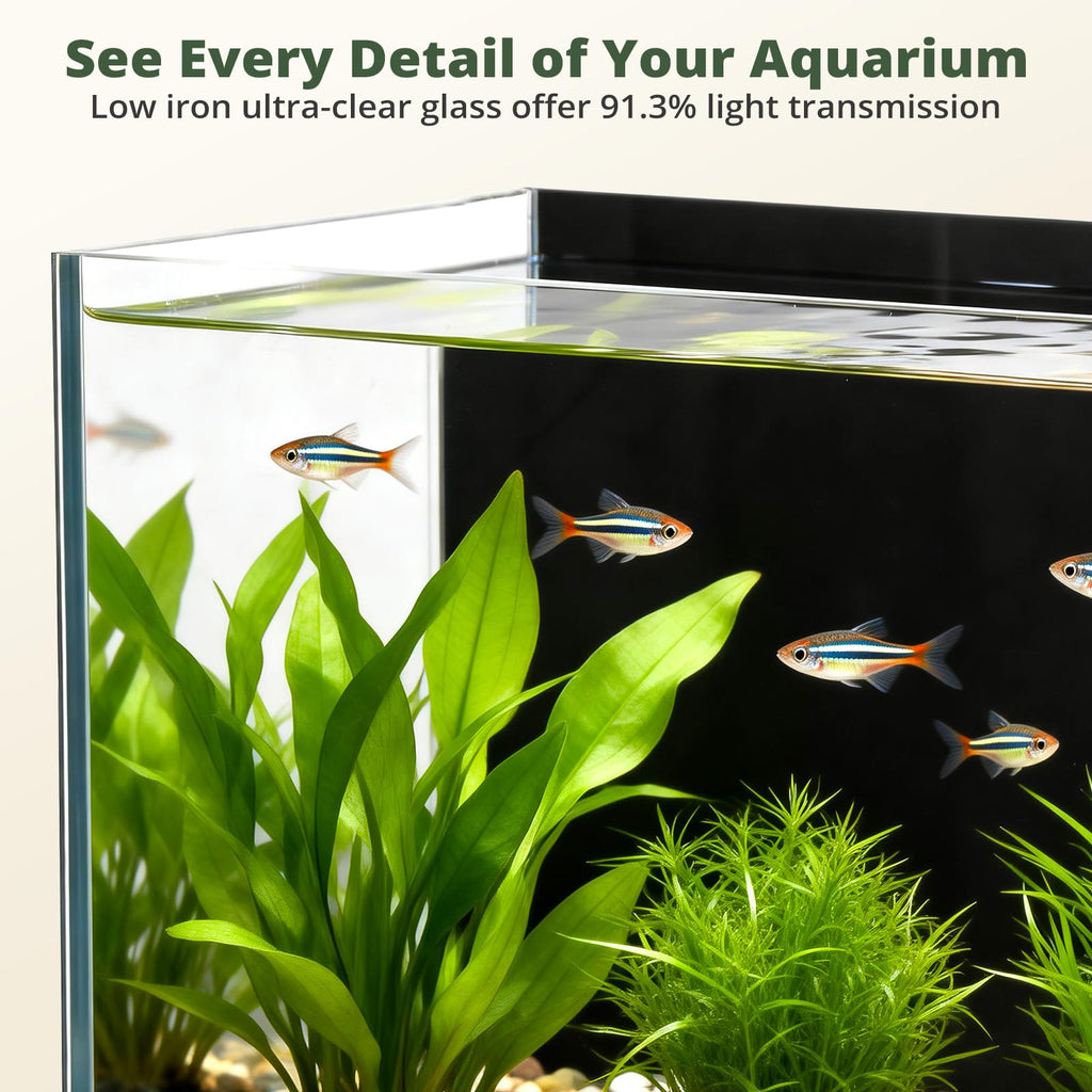 2.5 Gallon Fish Tank with Filter Y80423