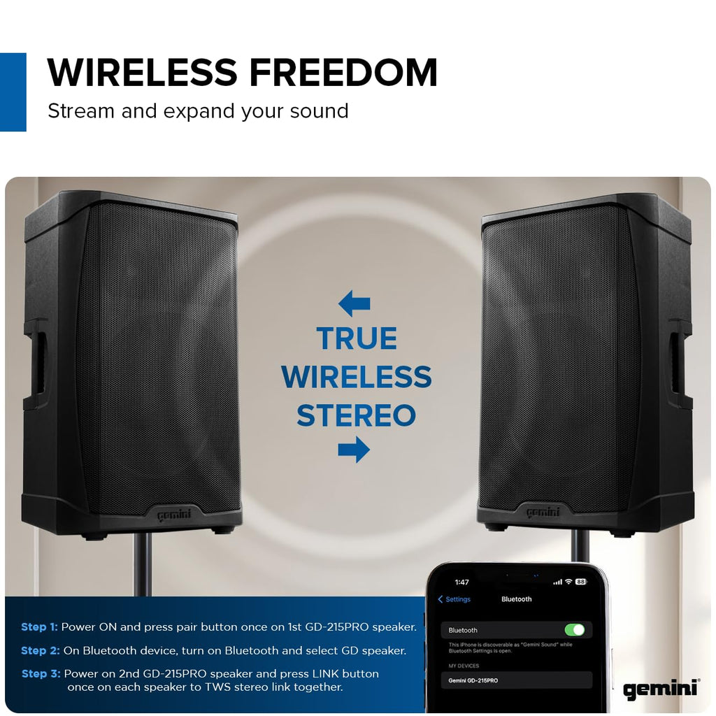 15" Bluetooth PA Speaker R849
