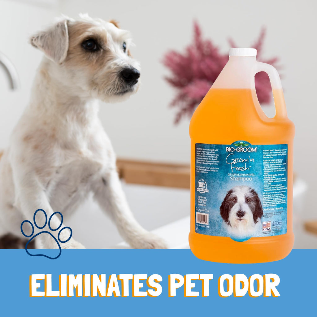 Dog Shampoo 1 Gallon X737193