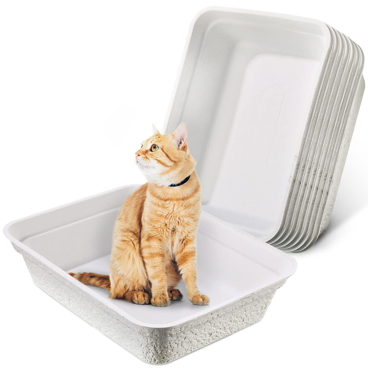 8 Pack Disposable Paper Cat Litter Boxes O184