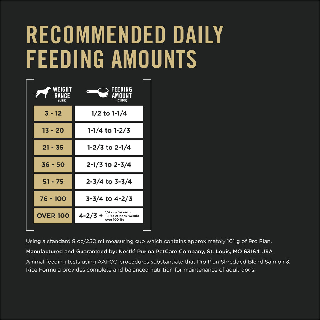 Salmon & Rice Dry Dog Food 33 lb Bag C353286