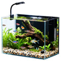 2.5 Gallon Fish Tank with Filter Y80423