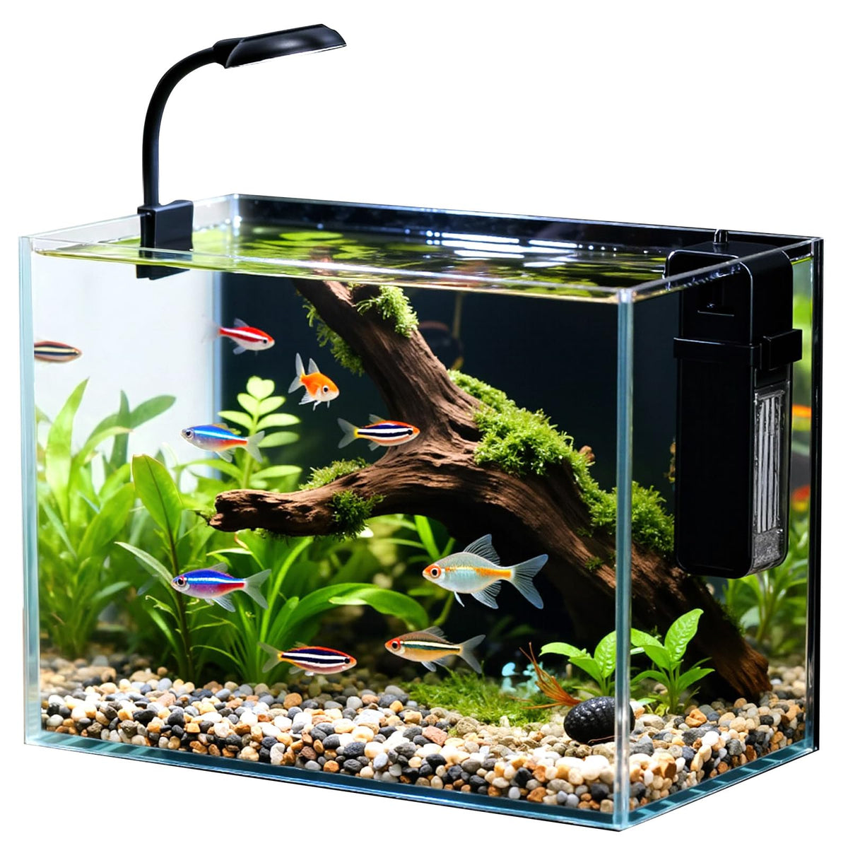 2.5 Gallon Fish Tank with Filter Y80423