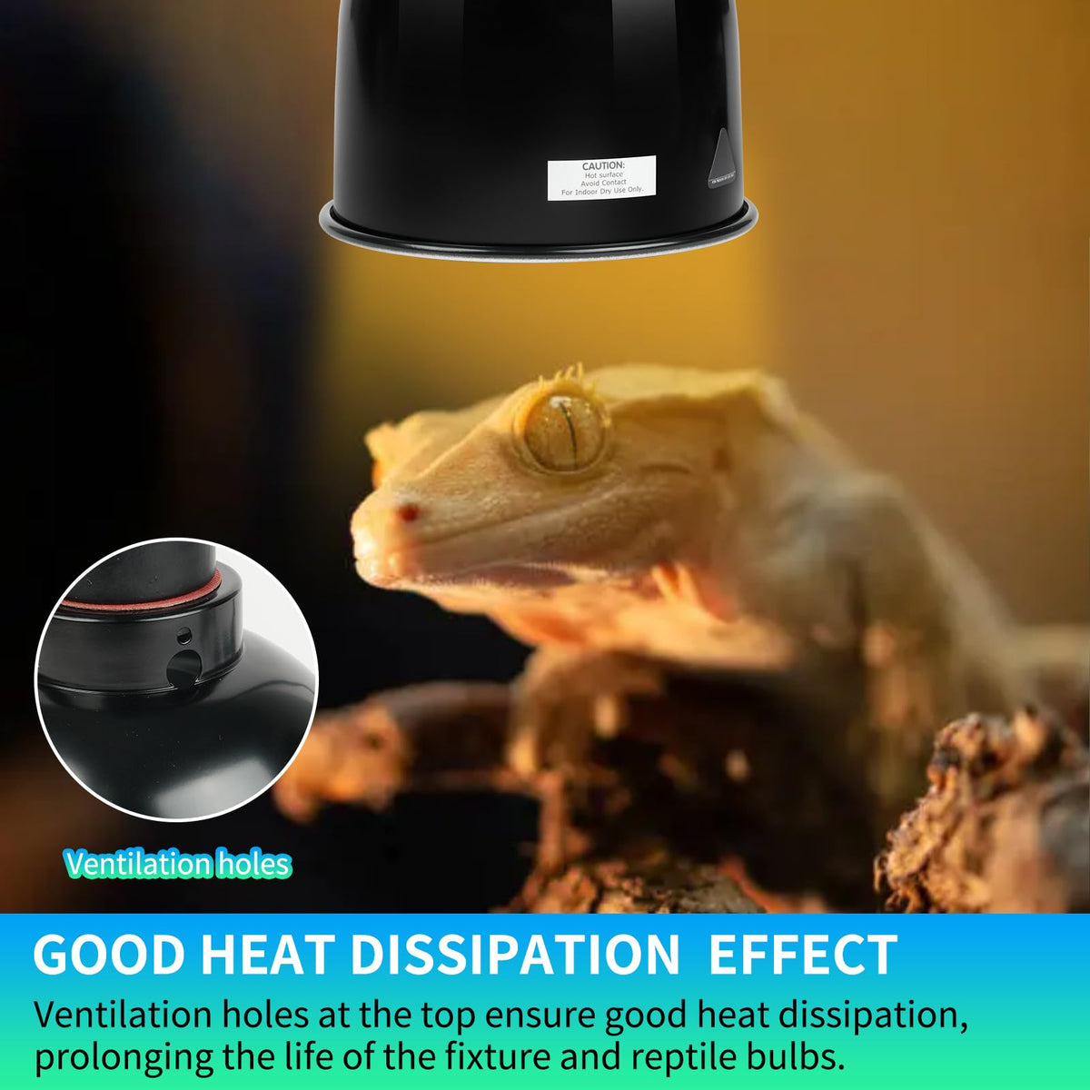 5.5 Inch Deep Dome Reptile Light Fixture with Dimming Thermostat D280152