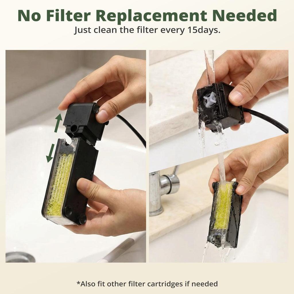 2.5 Gallon Fish Tank with Filter Y80423