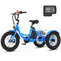 16 Inch 250W 24V Blue Electric Tricycle E21453