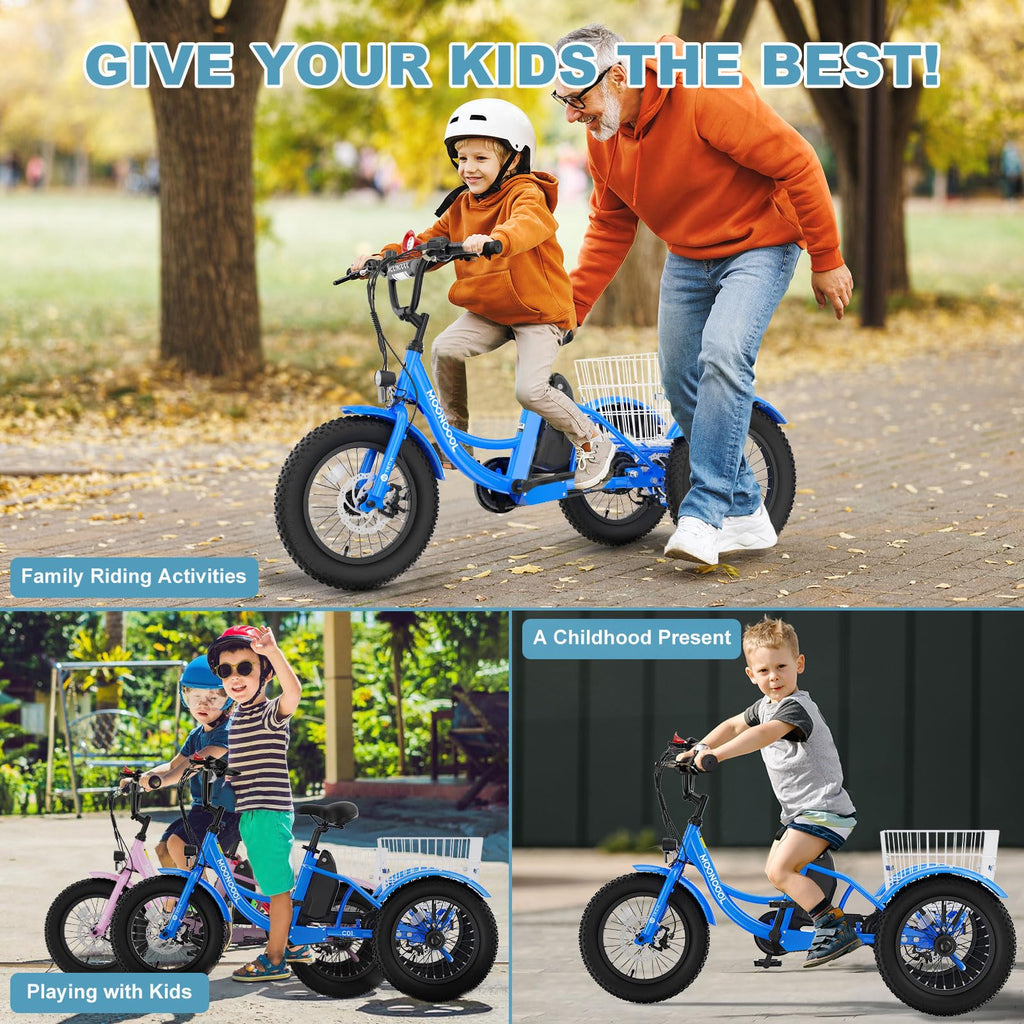 16 Inch 250W 24V Blue Electric Tricycle E21453