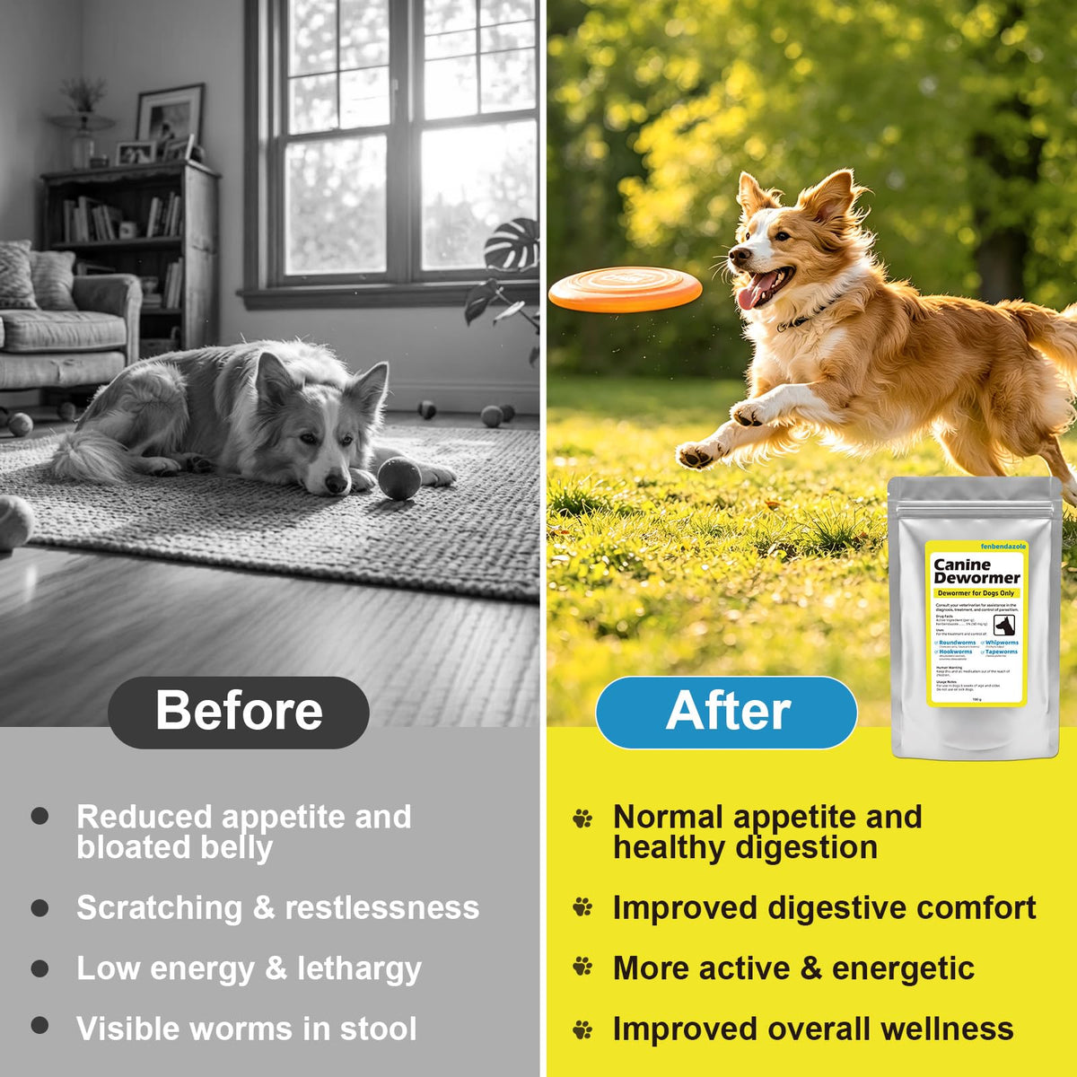 Dewormer for Dogs 100g F821100
