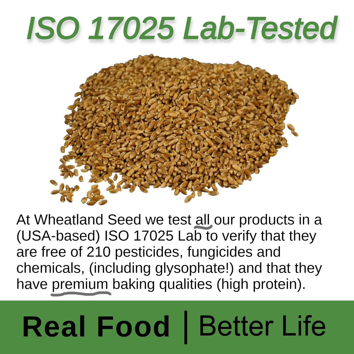 Organic Hard Red Wheat Berries 20lb Bucket P7020