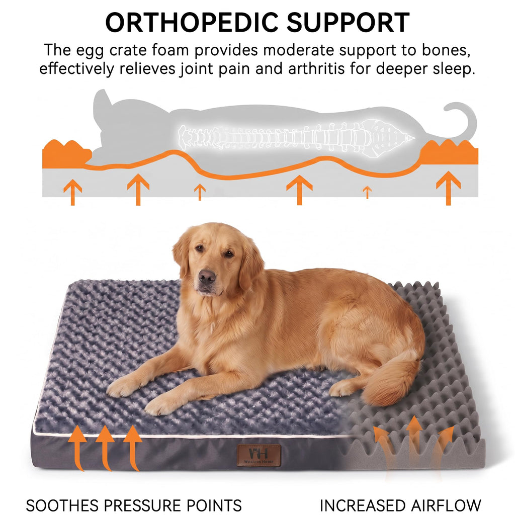 XXL Washable Dog Bed M57545