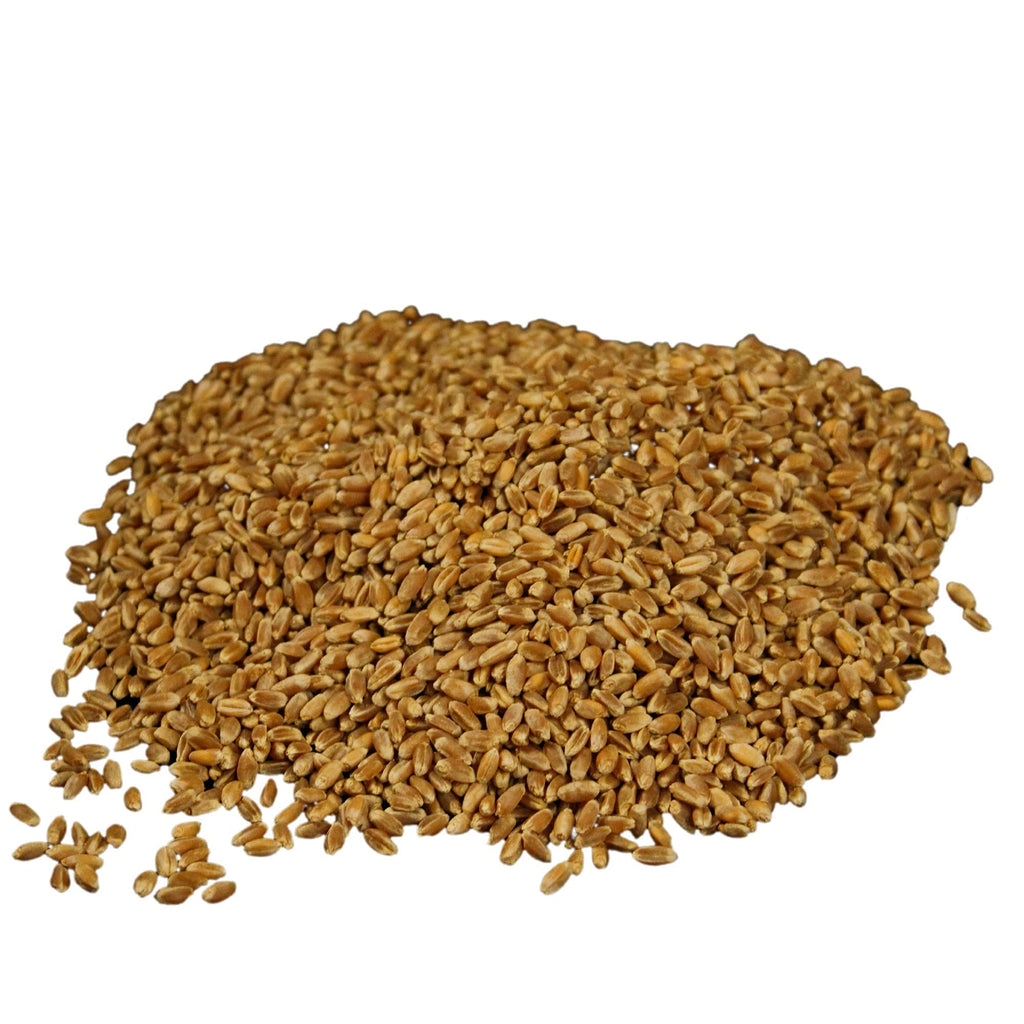 Organic Hard Red Wheat Berries 20lb Bucket P7020