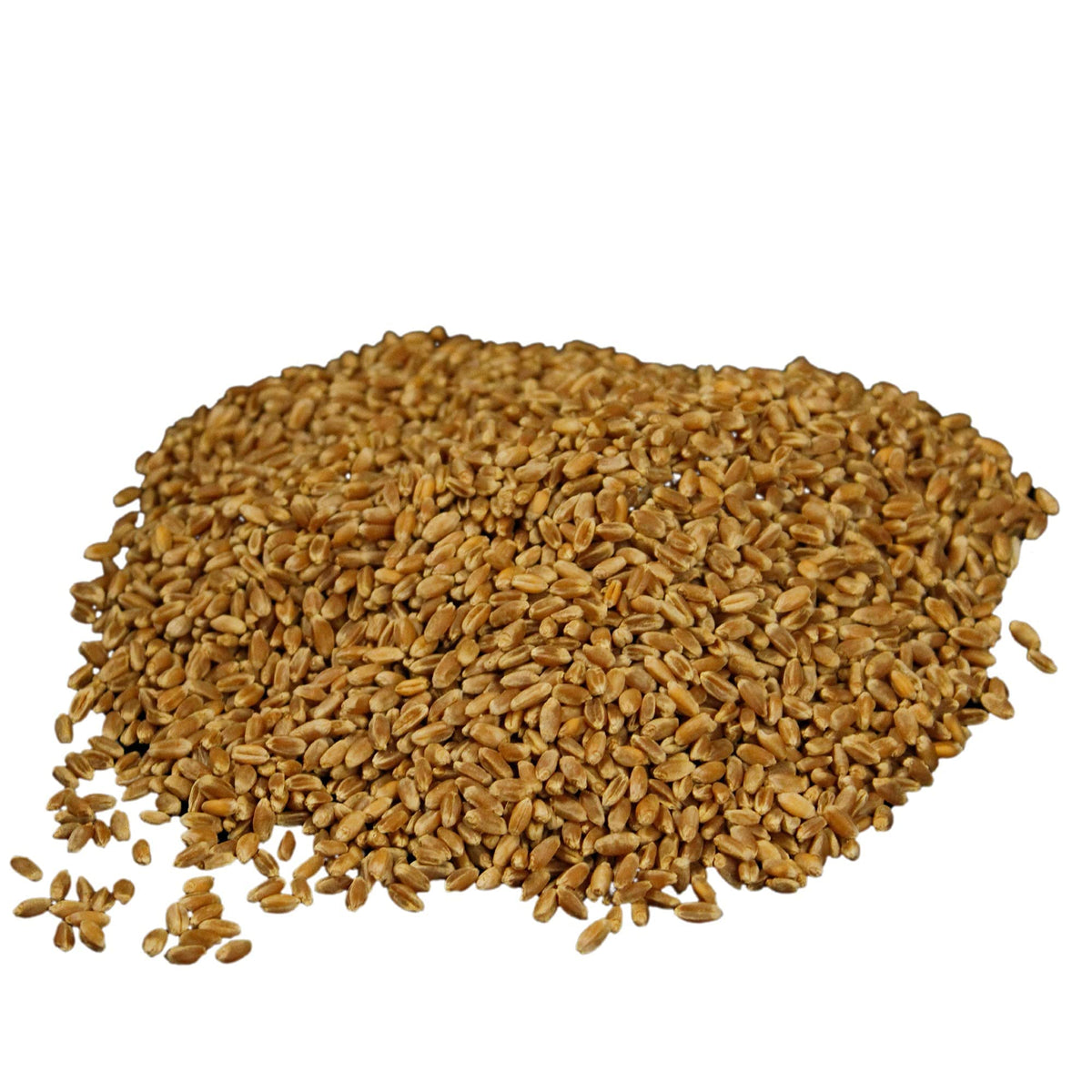 Organic Hard Red Wheat Berries 20lb Bucket P7020