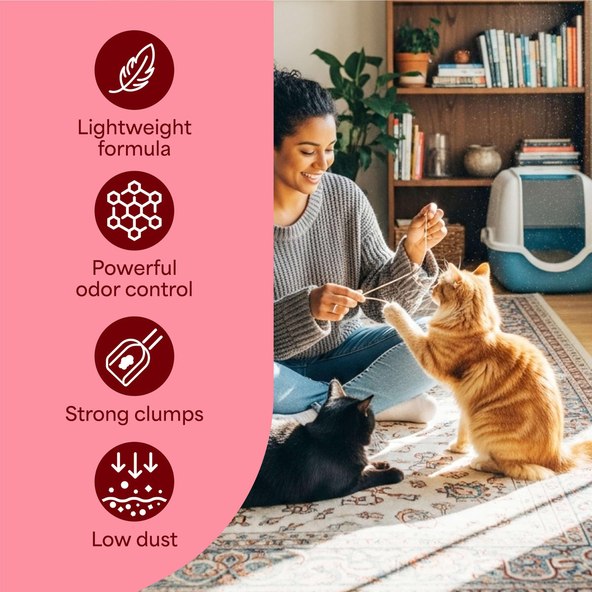 Light Weight Multi Cat Clumping Litter 11.5 lb Q5507