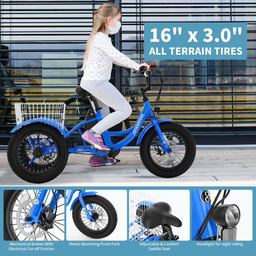 16 Inch 250W 24V Blue Electric Tricycle E21453