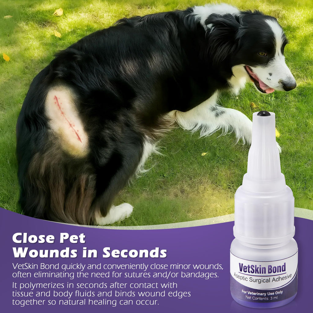 3ml Veterinary Surgical Skin Glue with 10 Applicators Z19207