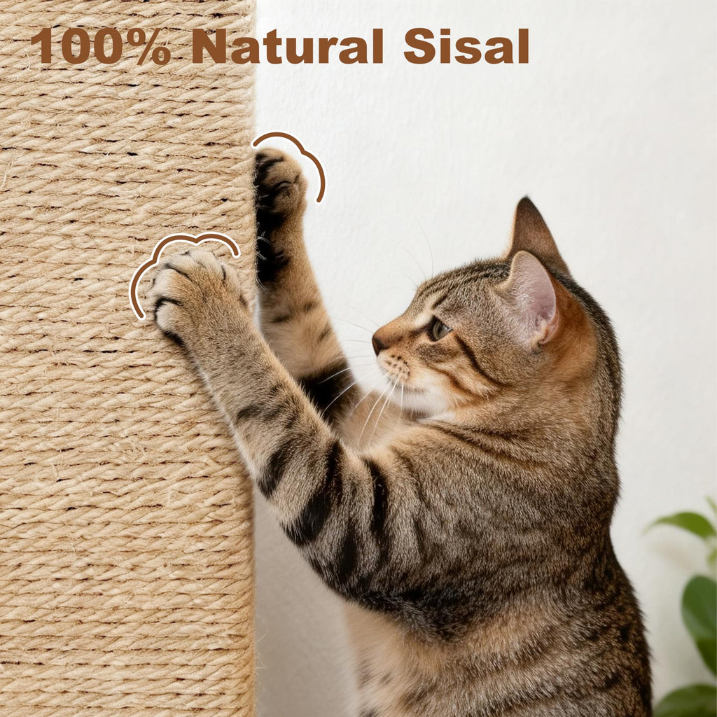 Tall Cat Scratching Post with Carpet Q971135